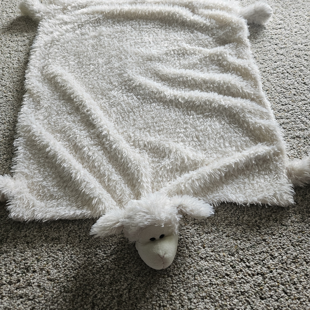 Plush Sheep Blanket